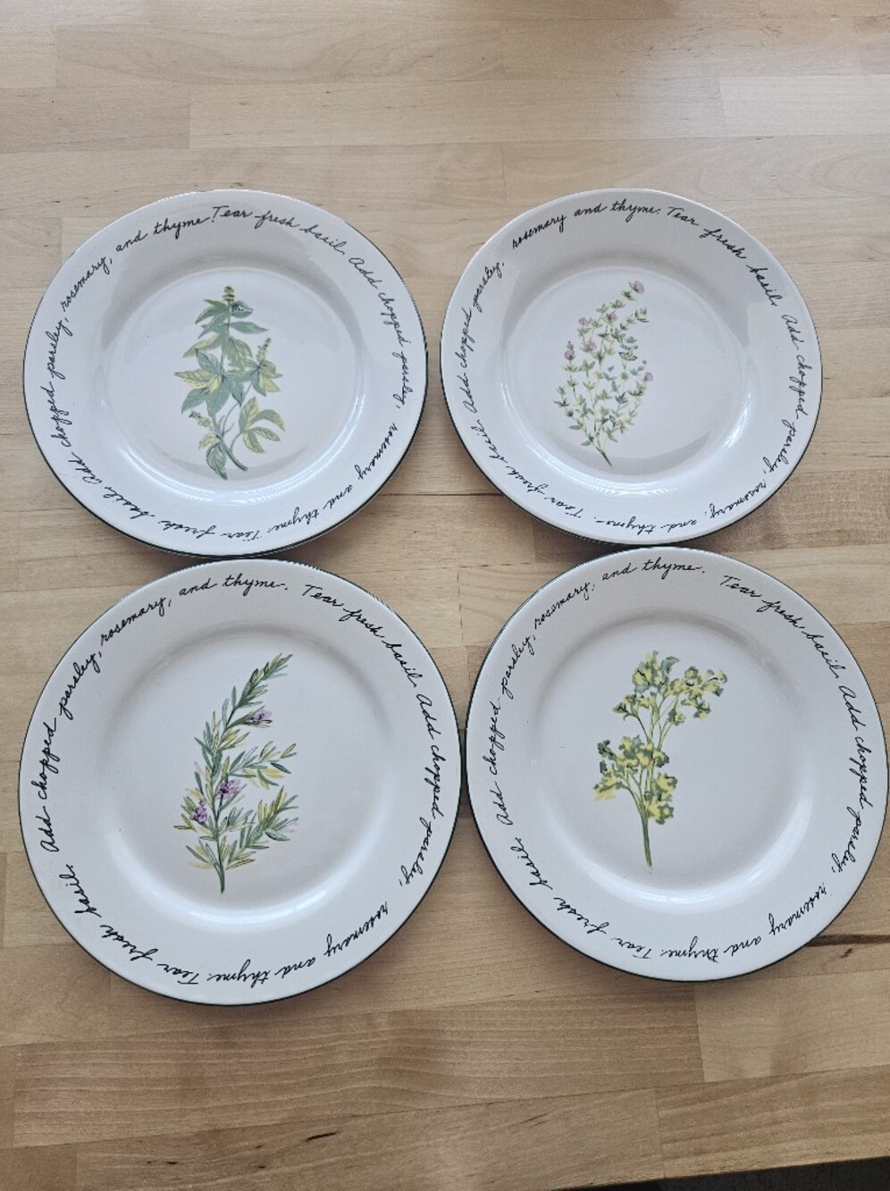 Vintage Set Of 4 Gibson Ceramic Salad Plates Herb Garden Design 7.5" Whimsy